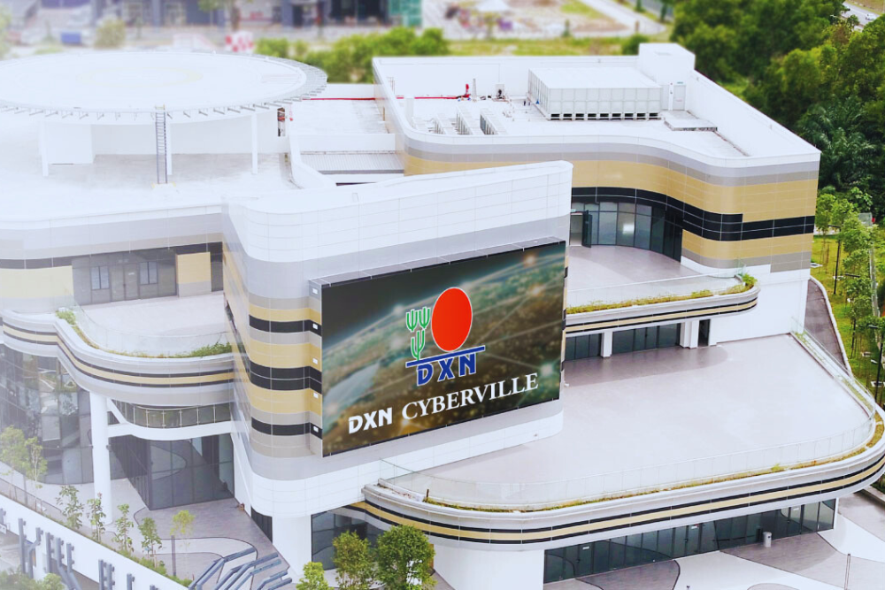 O que é a DXN? Conheça a empresa global que atua com Ganoderma e Marketing Multinível